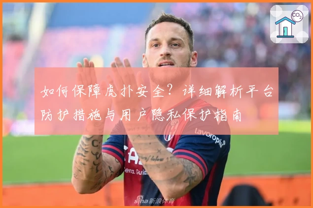 如何保障虎扑安全？详细解析平台防护措施与用户隐私保护指南